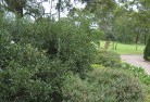 Pigeonbahresidential-landscaping-35.jpg; ?>