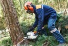 Pigeonbahtree-cutting-services-21.jpg; ?>